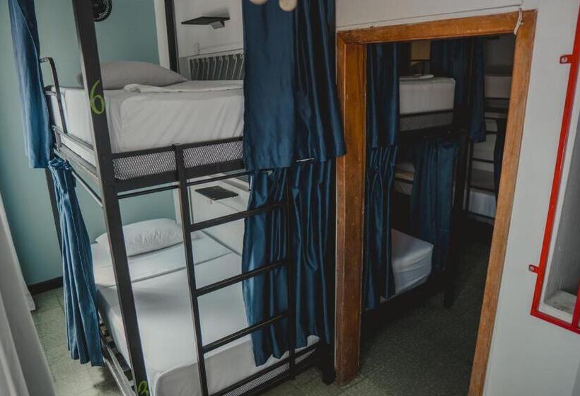 מיטה בחדר משותף, Traveler Hostel