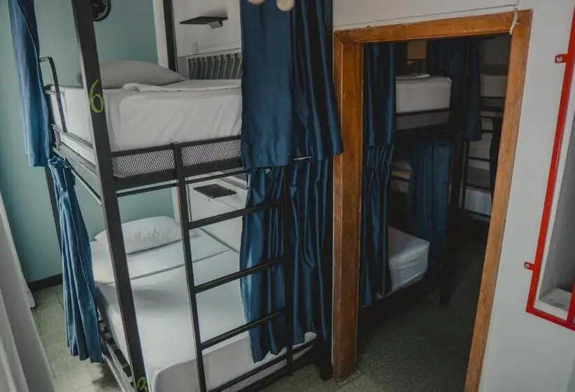 ルームシェアのワンベッド, Traveler Hostel