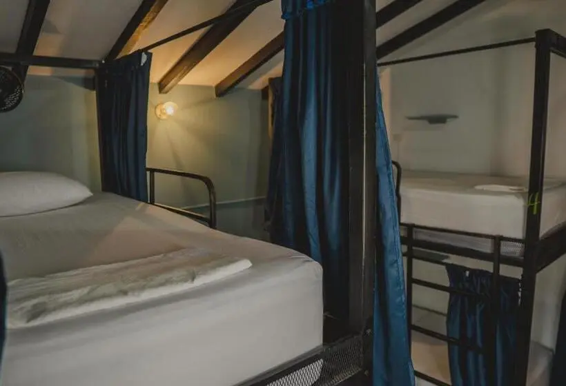 ルームシェアのワンベッド, Traveler Hostel