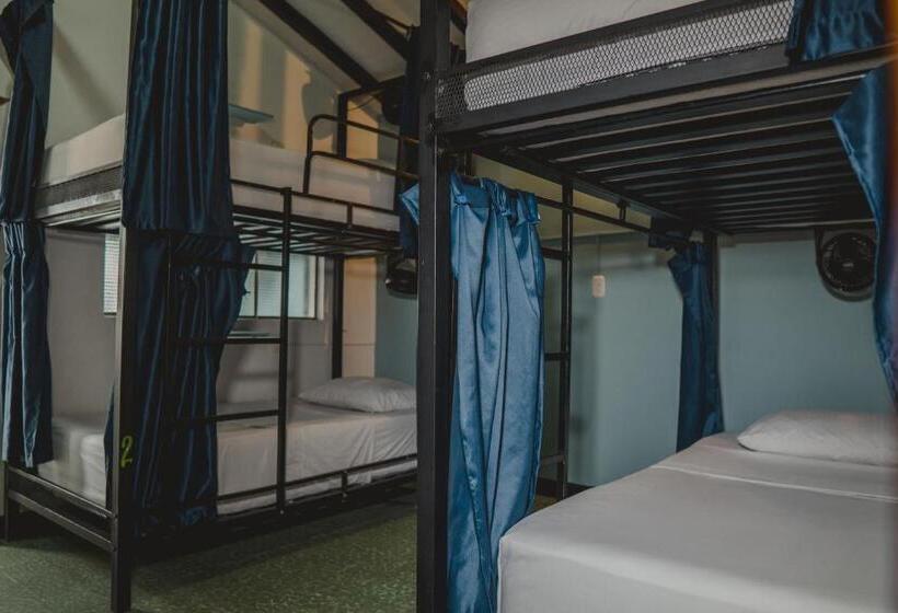 מיטה בחדר משותף, Traveler Hostel