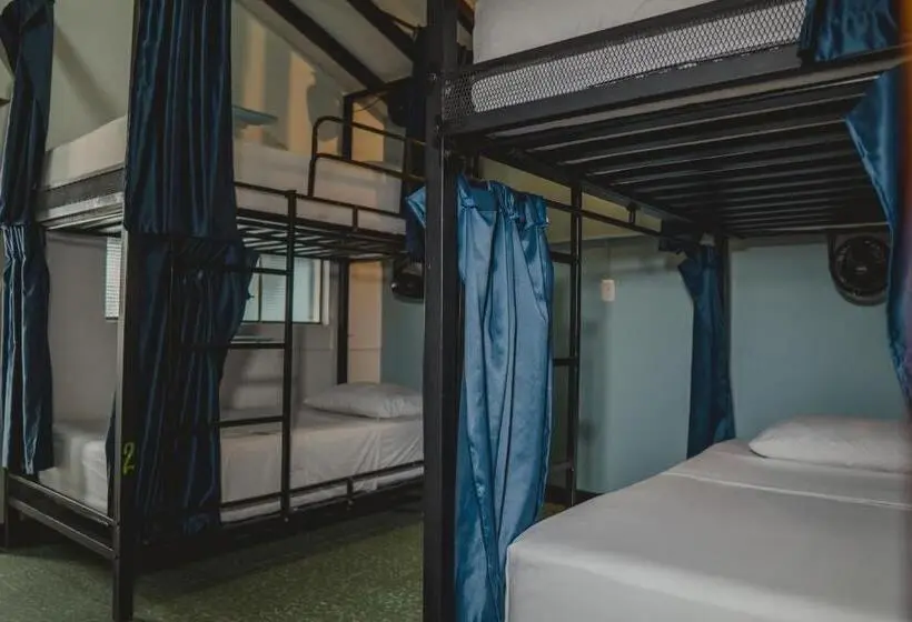 ルームシェアのワンベッド, Traveler Hostel