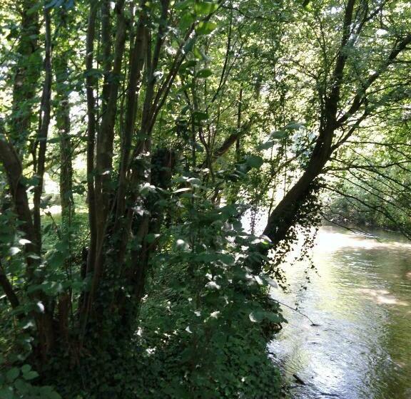 غرفة قياسية, Le Moulin Des Roses