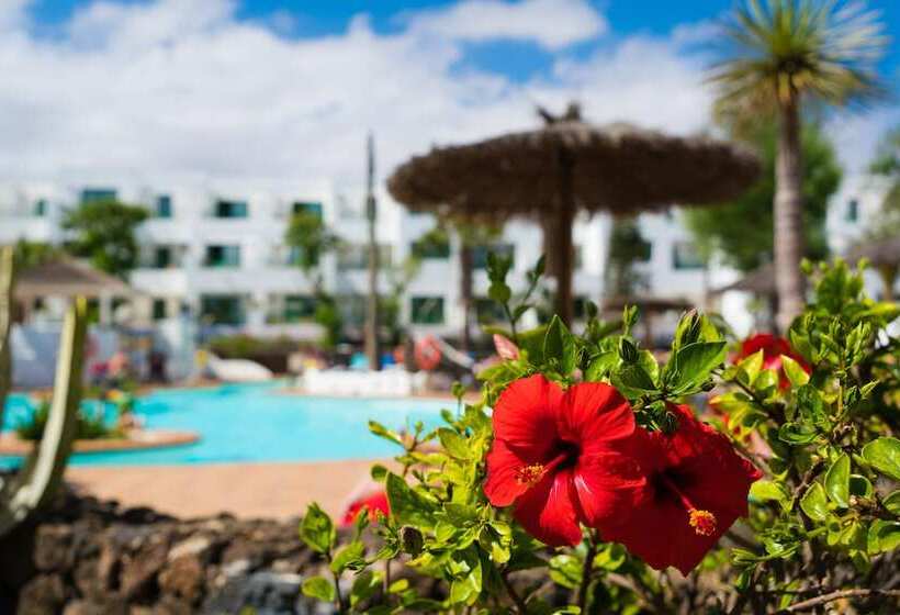 Апартаменты 1 Спальня, Apartamentos Galeon Playa