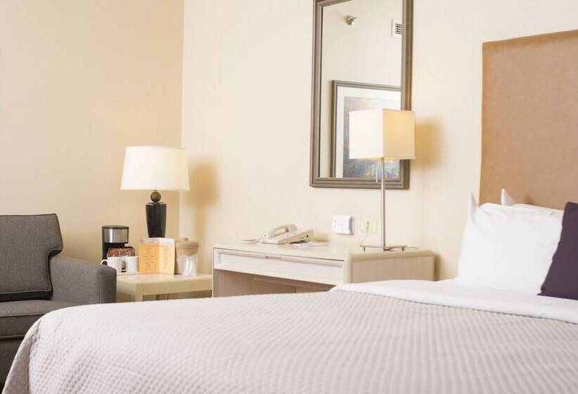 스탠다드 룸, Istay Hotel Ciudad Juarez