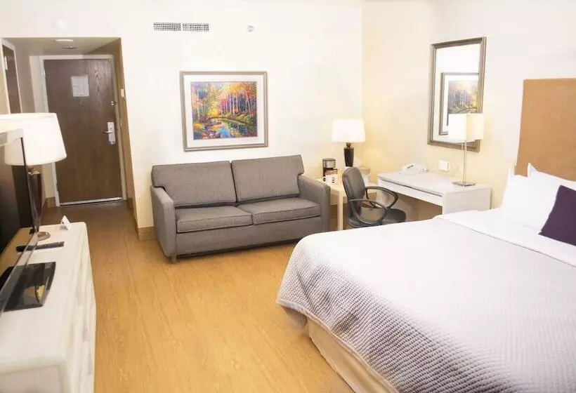 اتاق استاندارد, Istay Hotel Ciudad Juarez
