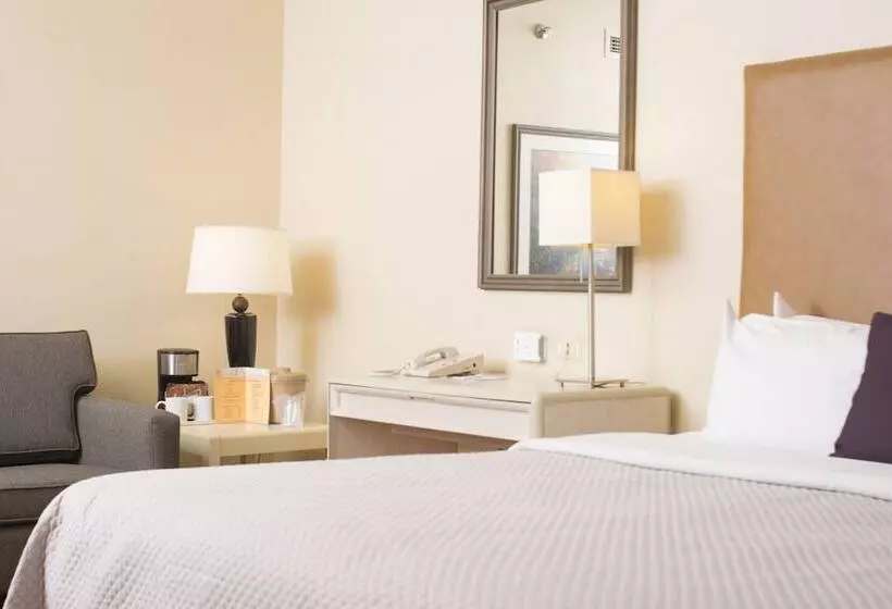 اتاق لوکس, Istay Hotel Ciudad Juarez