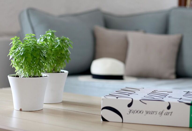 スイート, Skopelos Village