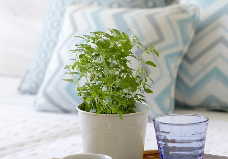 プールビュージュニアスイート, Skopelos Village