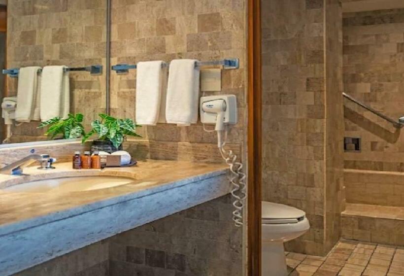 غرفة ديلوكس ذات إطلالة, Park Royal Beach Acapulco  All Inclusive