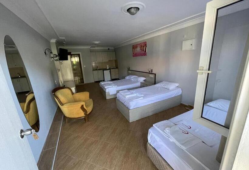 اتاق خانوادگی, Carmina