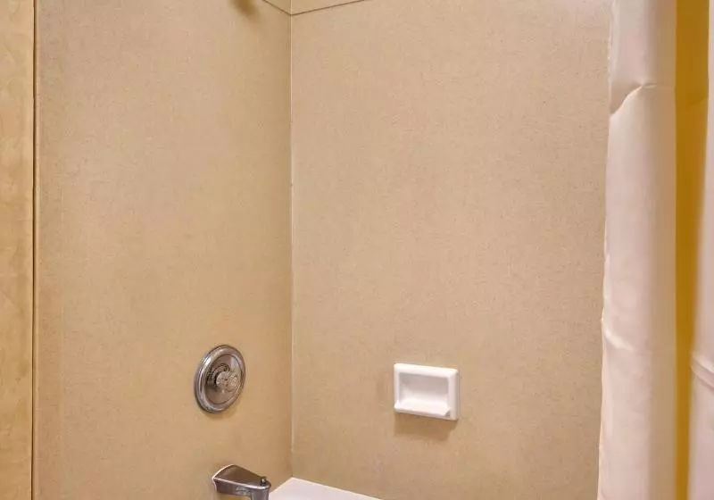 اتاق لوکس, Cortona Inn And Suites Anaheim Resort