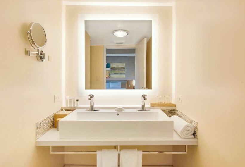 高级客房, Eden Roc Miami Beach