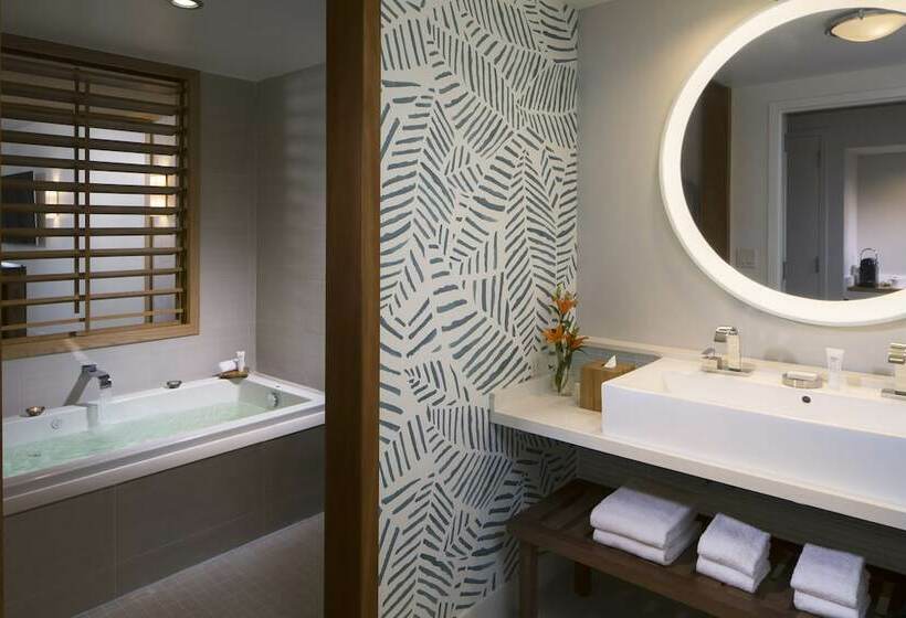 小型套房带海景, Eden Roc Miami Beach