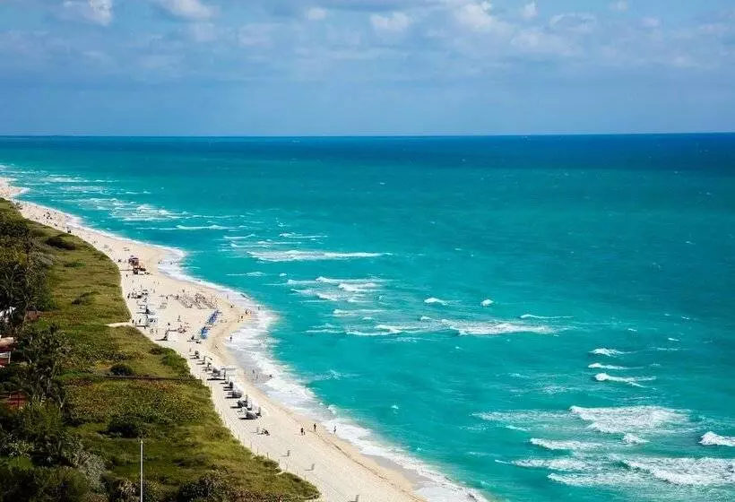 سوییت جونیور با چشم‌انداز دریا, Eden Roc Miami Beach