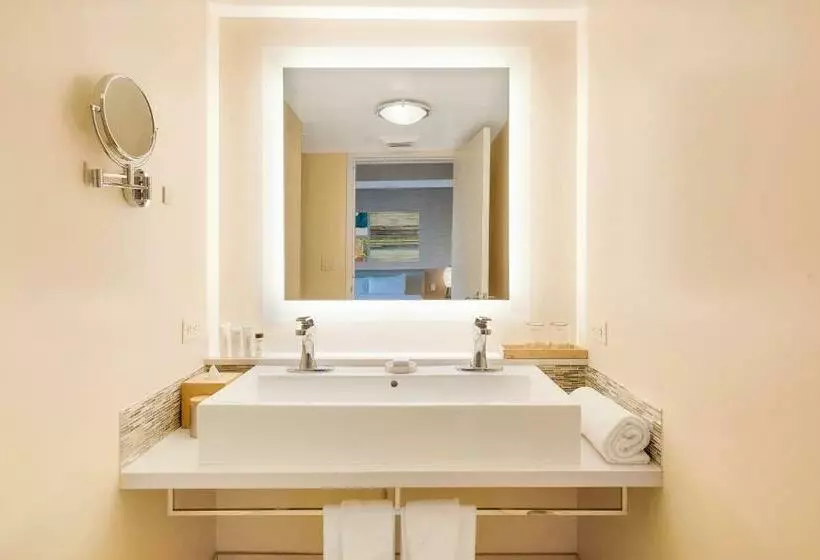 سوئیت پریمیوم, Eden Roc Miami Beach