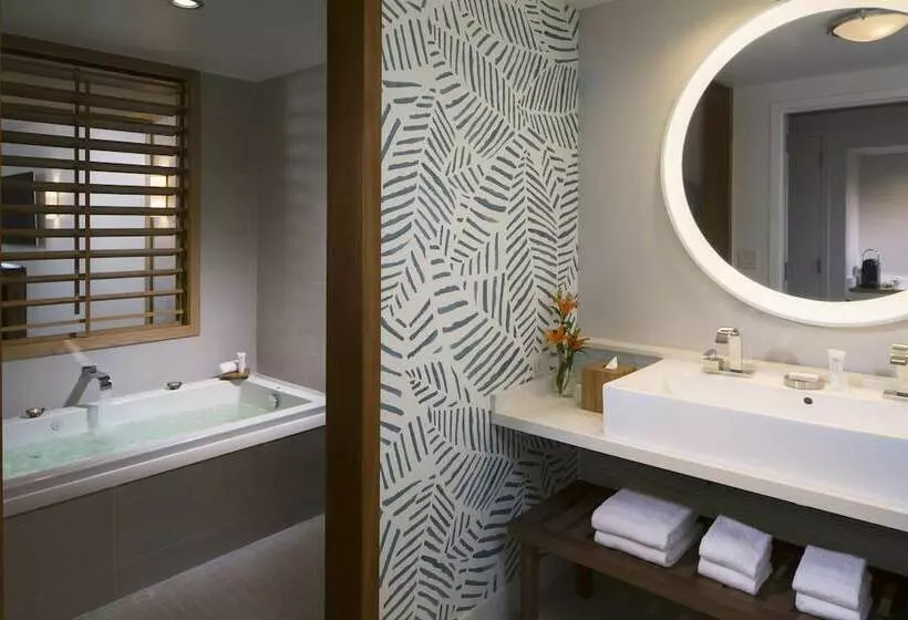 سوئیت با تخت بزرگ, Eden Roc Miami Beach
