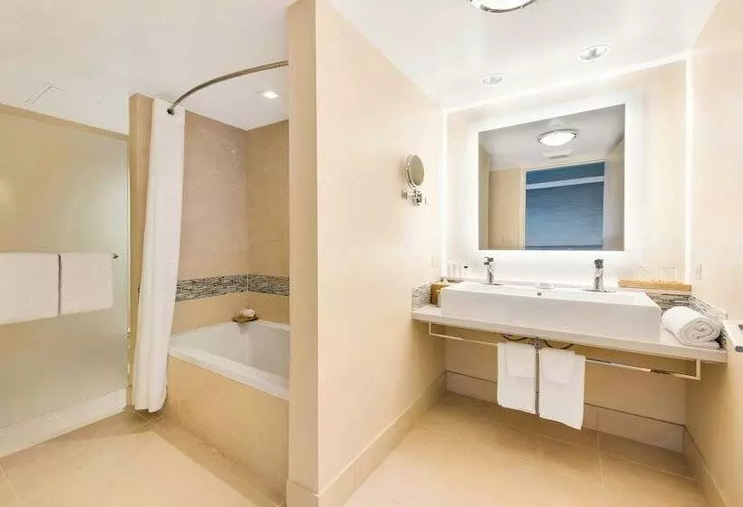 سوئیت با تخت بزرگ, Eden Roc Miami Beach