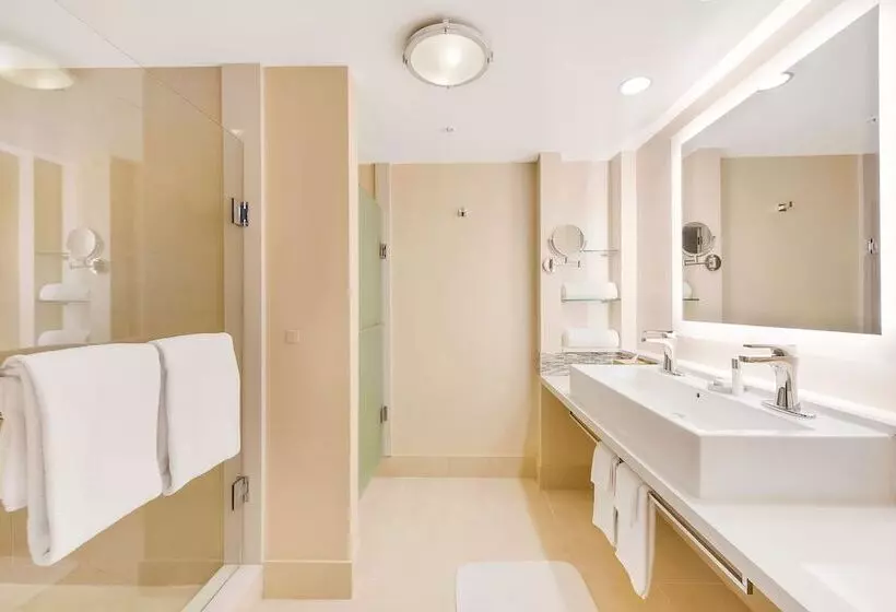 اتاق پرمیوم با چشم‌انداز دریا, Eden Roc Miami Beach