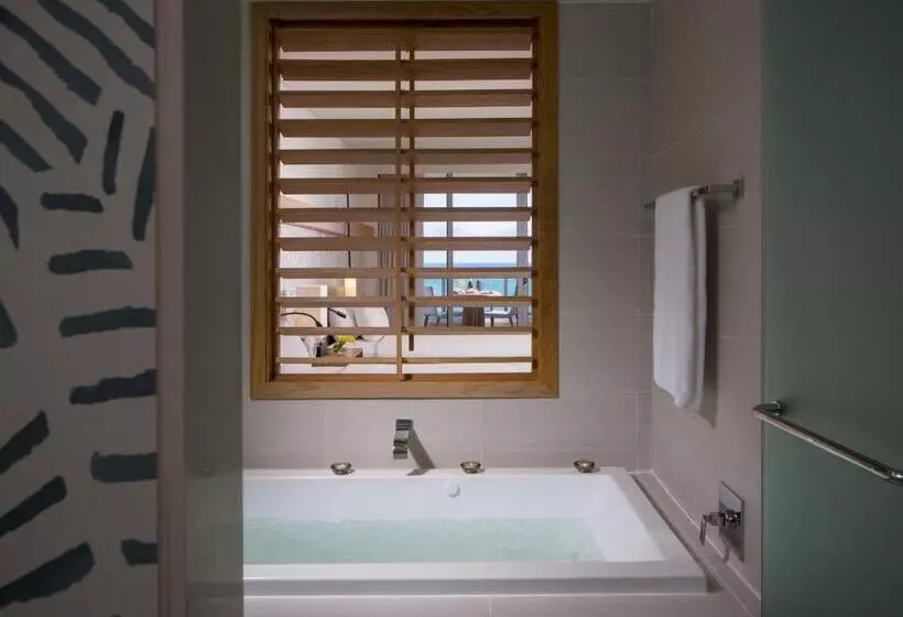 سوئیت جونیور با تخت بزرگ, Eden Roc Miami Beach