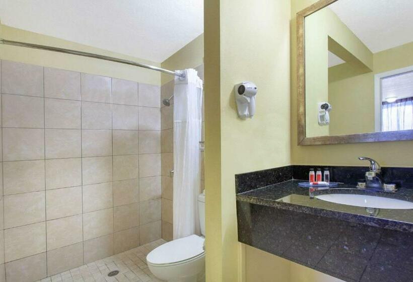 חדר סטנדרט, מיטת קינג, מותאם לאדם עם מוגבלויות, Grand Hotel Orlando At Universal Blvd   Shuttle To Theme Parks