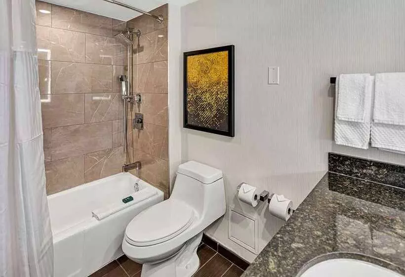 キングサイズベッドのジュニアスイート, Hilton Miami Downtown