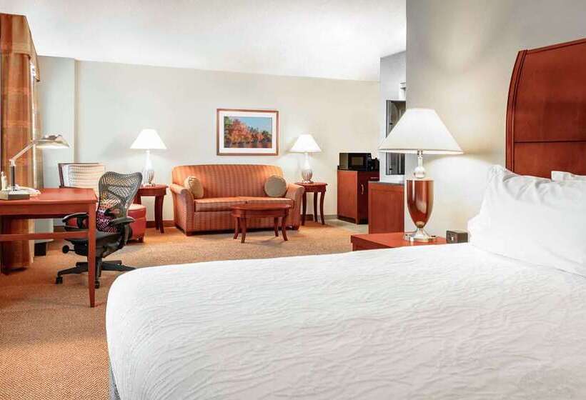 주니어 스위트 킹사이즈 침대, Hilton Miami Downtown