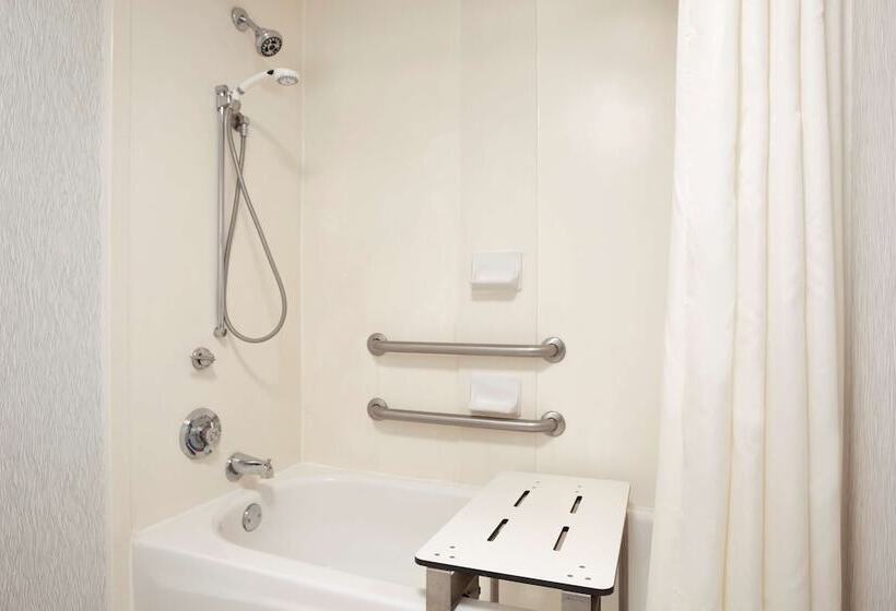 适合残疾人士使用的套间, Homewood Suites By Hilton Orlando Int L Drive/convention Ctr