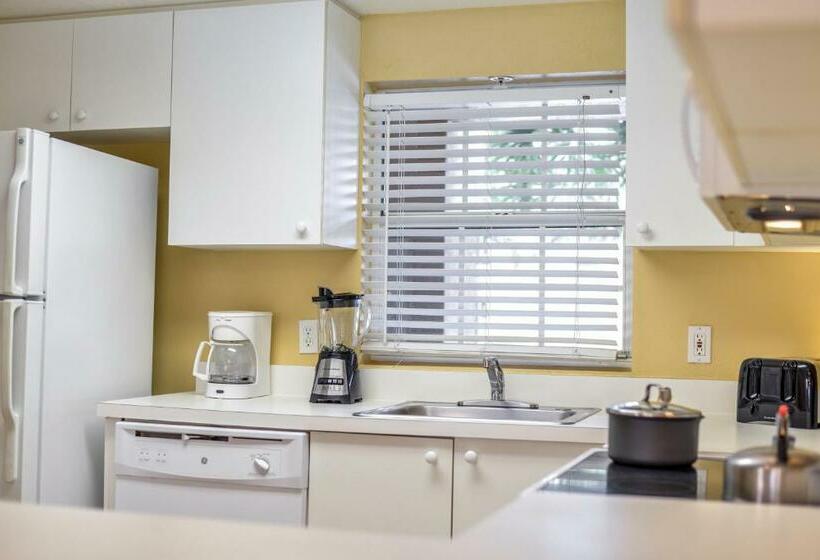 Apartamento 1 Dormitório, Hilton Vacation Club Aqua Sol Orlando West