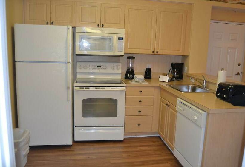 침실 1개 아파트, Hilton Vacation Club Aqua Sol Orlando West