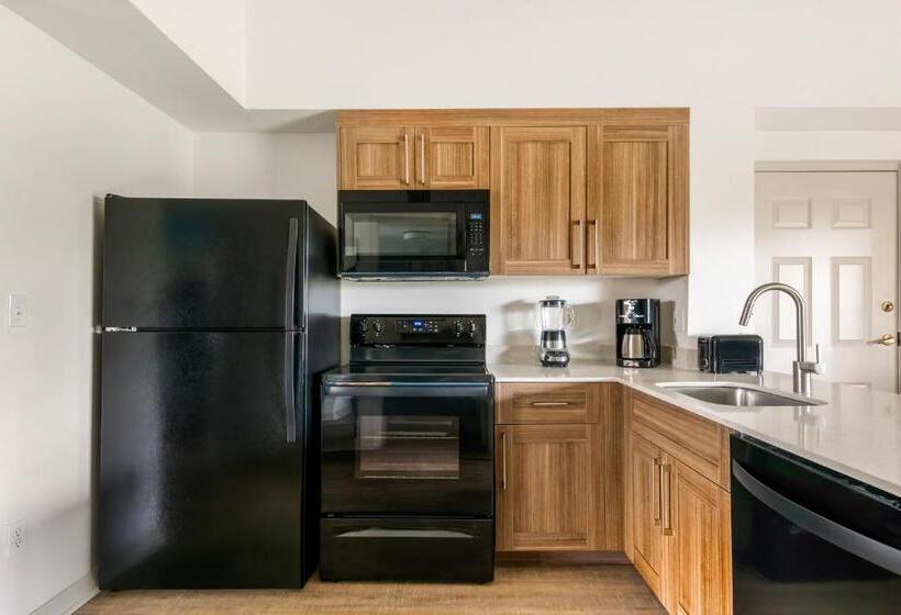 스탠다드 스튜디오, Hilton Vacation Club Aqua Sol Orlando West