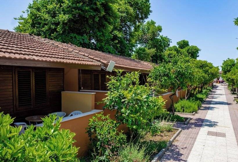 بنجلو قياسى, Ozlem Garden