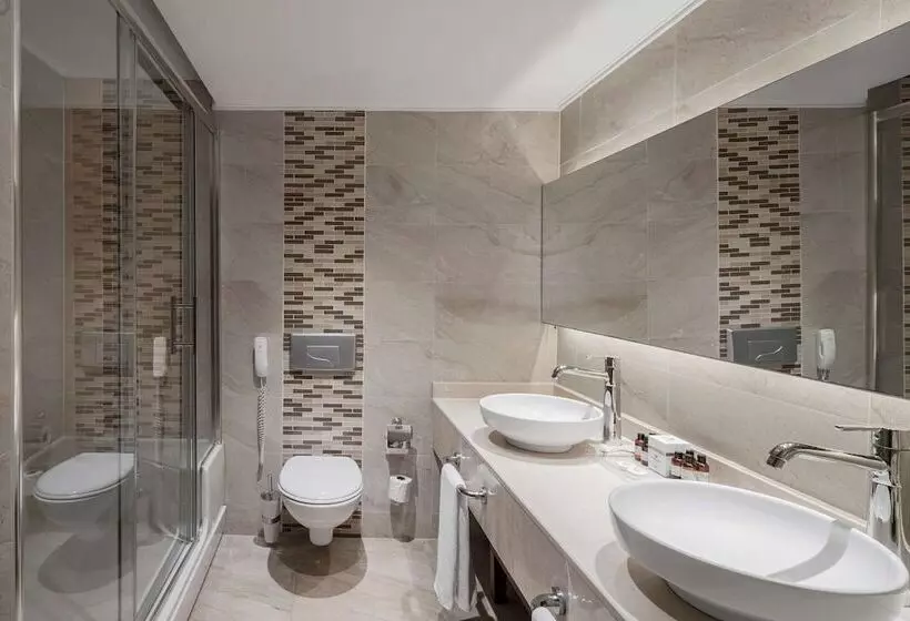 اتاق استاندارد با چشم‌انداز دریا, Papillon Ayscha Resort & Spa