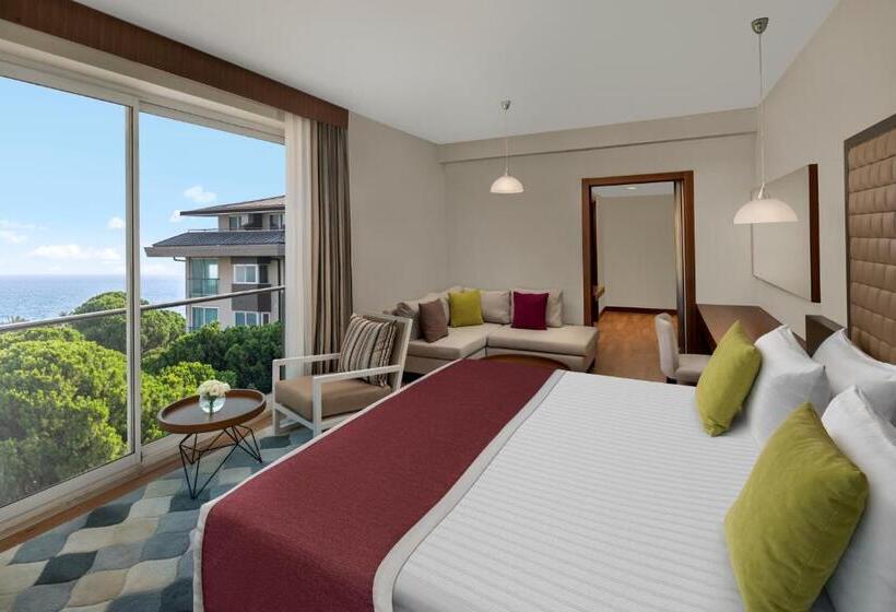 行政房间, Papillon Ayscha Resort & Spa
