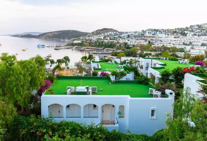 اتاق استاندارد با چشمانداز باغ, Royal Asarlik Beach