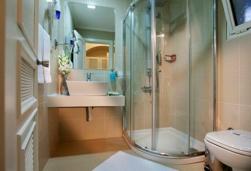 غرفة قياسية مطلّة علي البحر, Royal Asarlik Beach