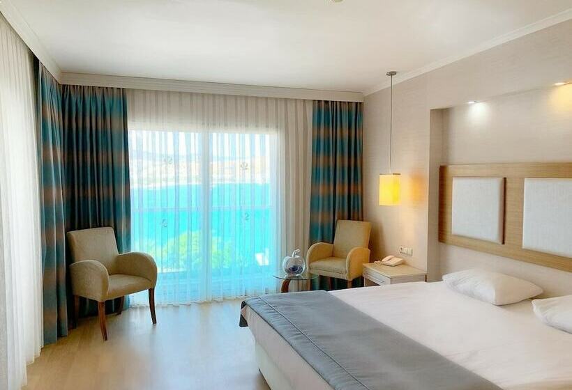 غرفة قياسية مطلّة علي البحر, Royal Asarlik Beach