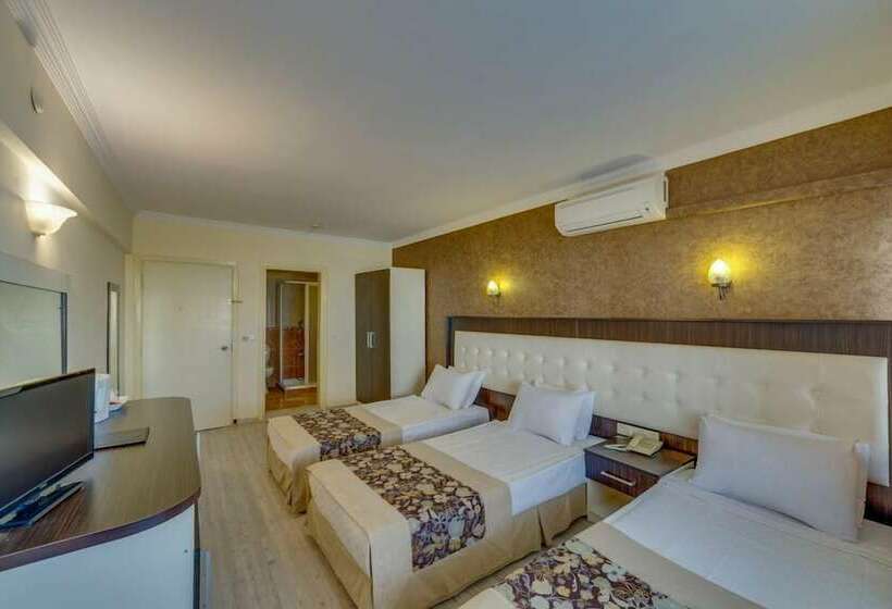 스탠다드 룸, The View City