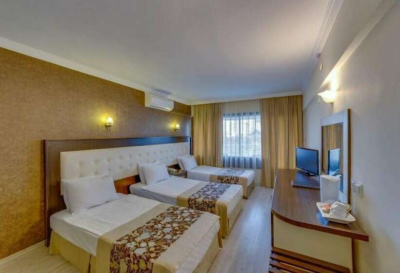 스탠다드 룸, The View City