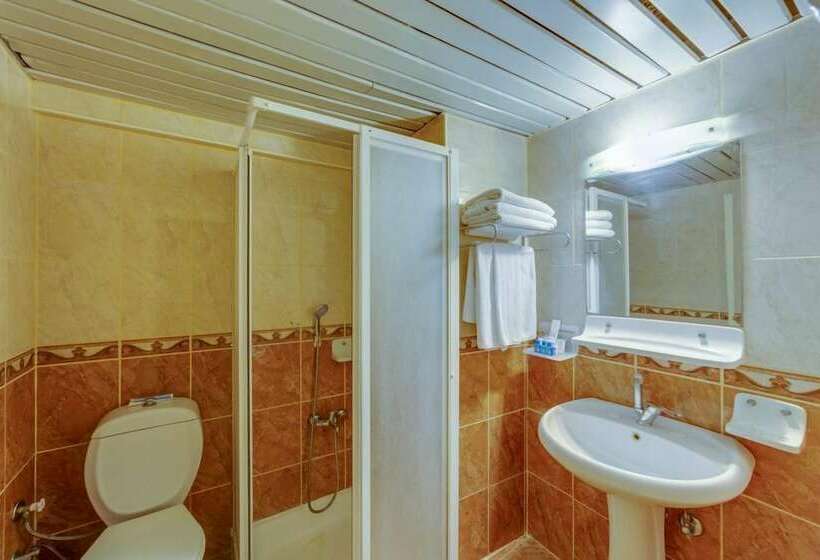 스탠다드 룸, The View City