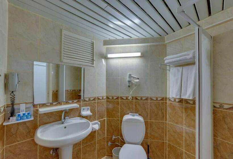 스탠다드 룸, The View City