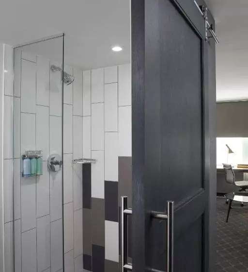 اتاق استاندارد با تخت بزرگ برای معلولان, The Fifty Sonesta Hotel New York