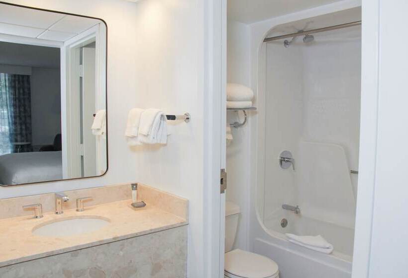 ２ダブルベッドのスタンダードルーム, The Inn At Opryland, A Gaylord