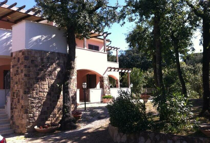 Apartament 1 Sypialnia, Residence Villa Hedy