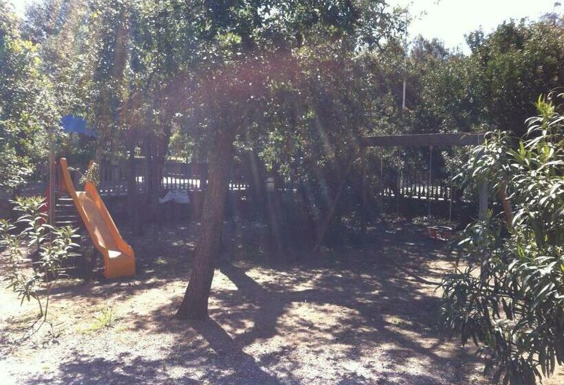 Apartament 1 Sypialnia, Residence Villa Hedy