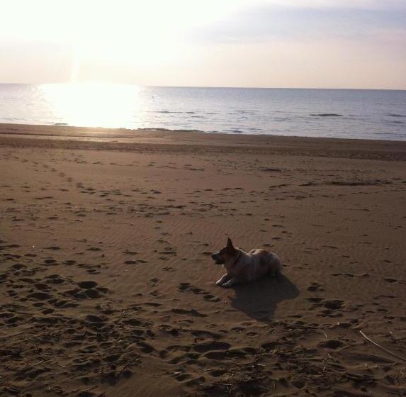 Apartament 1 Sypialnia, Residence Villa Hedy