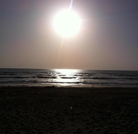 Apartament 1 Sypialnia, Residence Villa Hedy