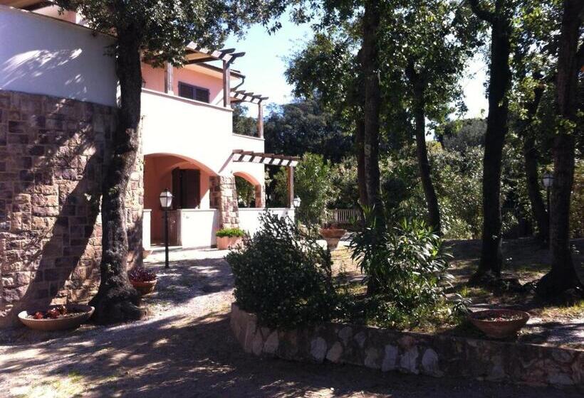 Apartament 1 Sypialnia, Residence Villa Hedy