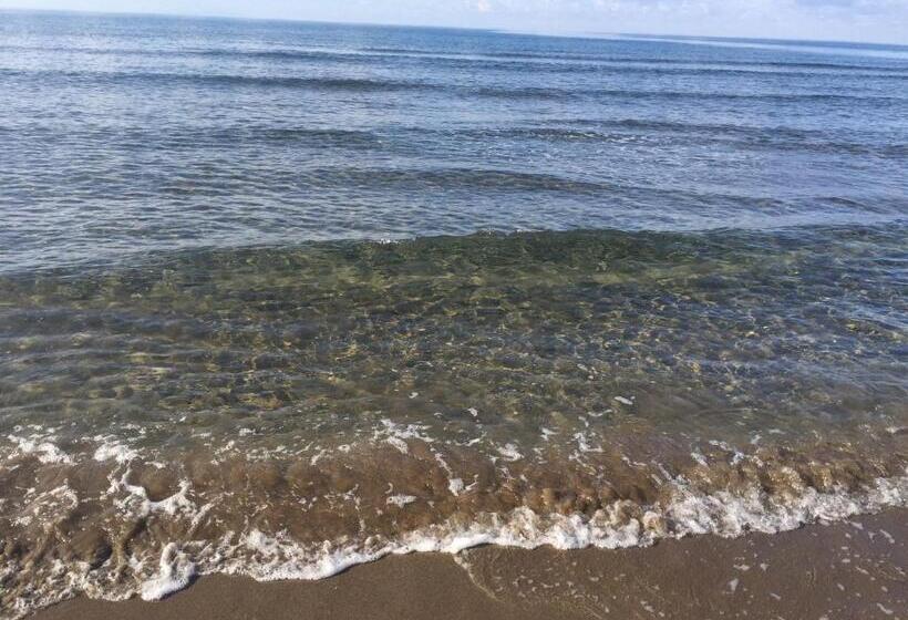 Apartament 1 Sypialnia, Residence Villa Hedy