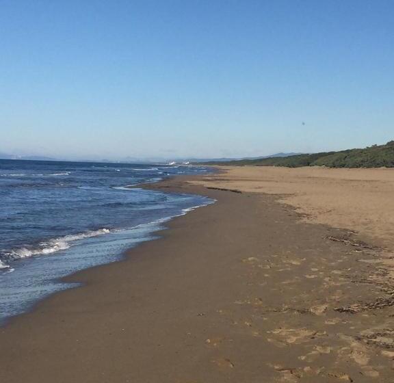 Apartament 1 Sypialnia, Residence Villa Hedy