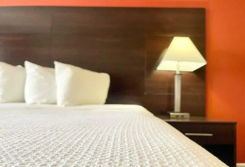 デラックスルーム, Fairbridge Inn & Suites Cuero